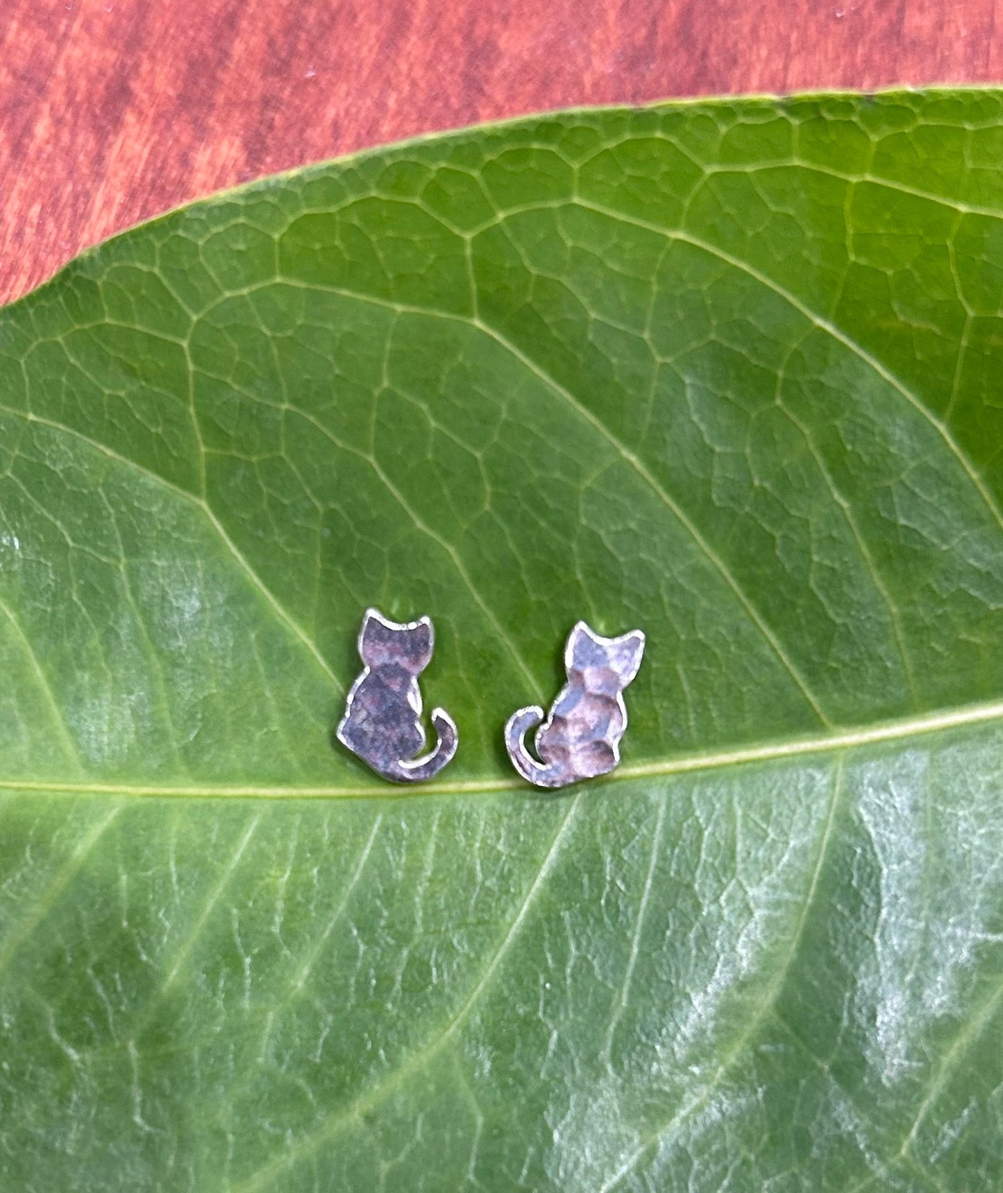 Cat Studs