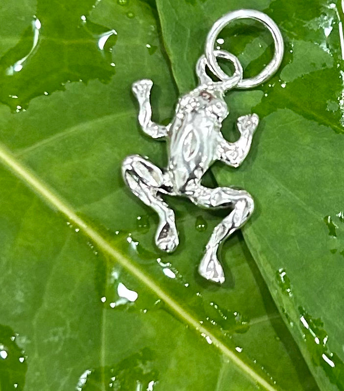 Frog Pendant/Charm