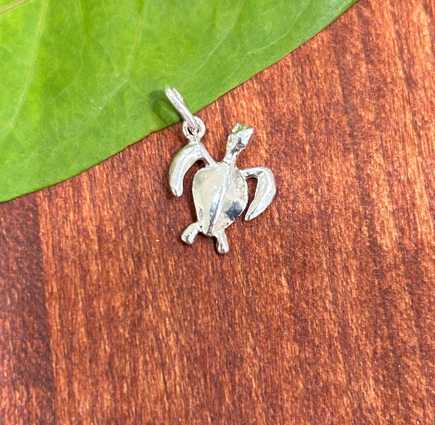 Turtle Charm