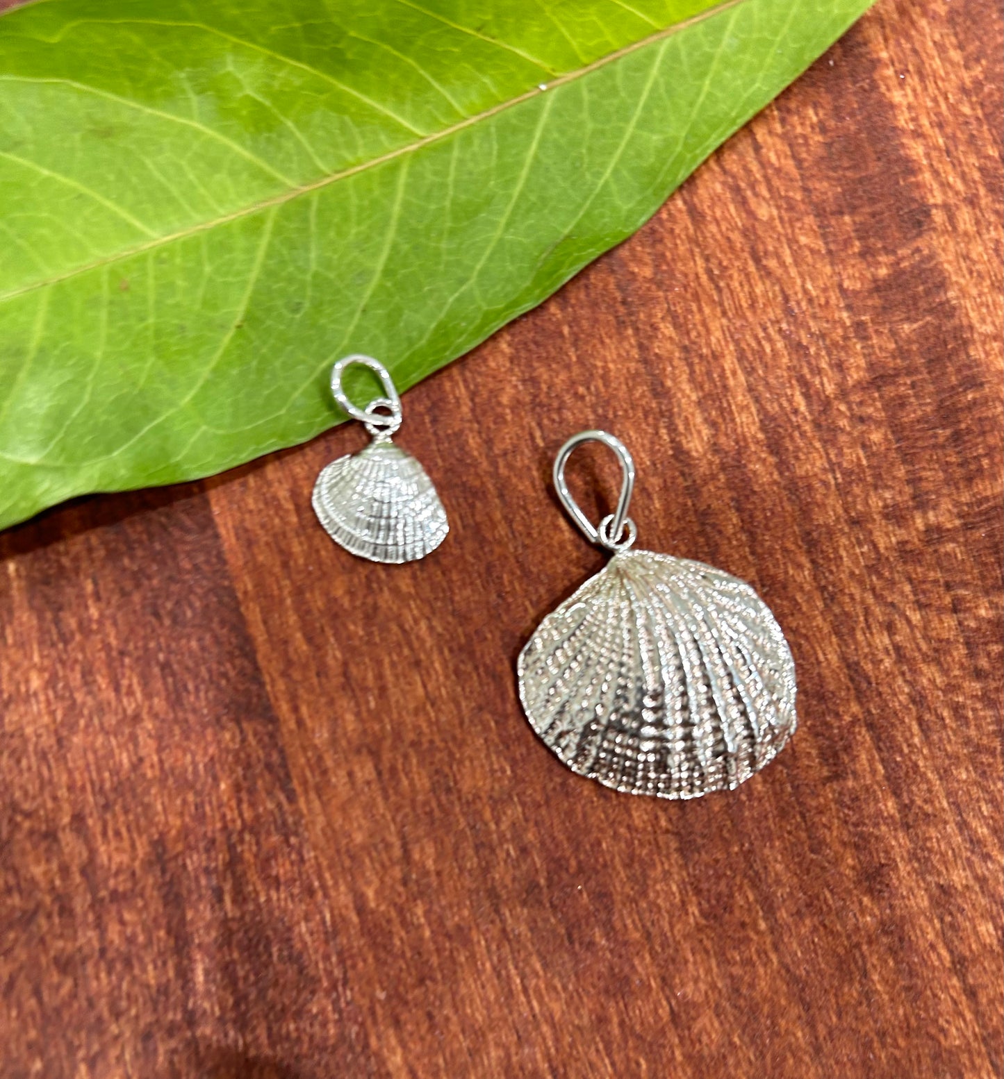 Sea Shell Pendant/Charm