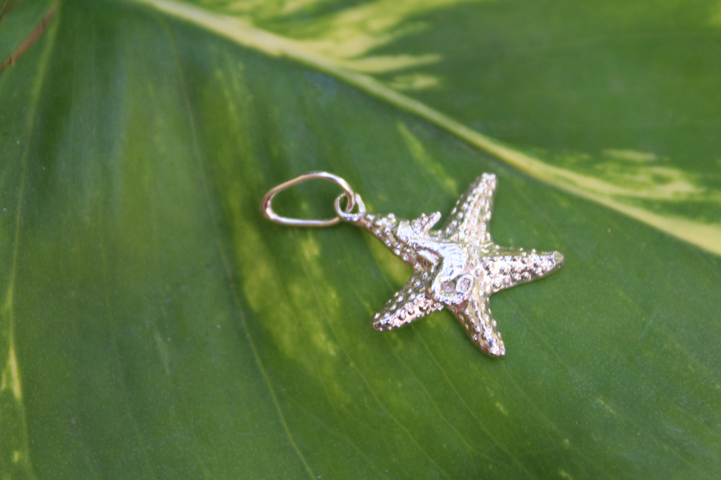 Starfish Pendant/Charm