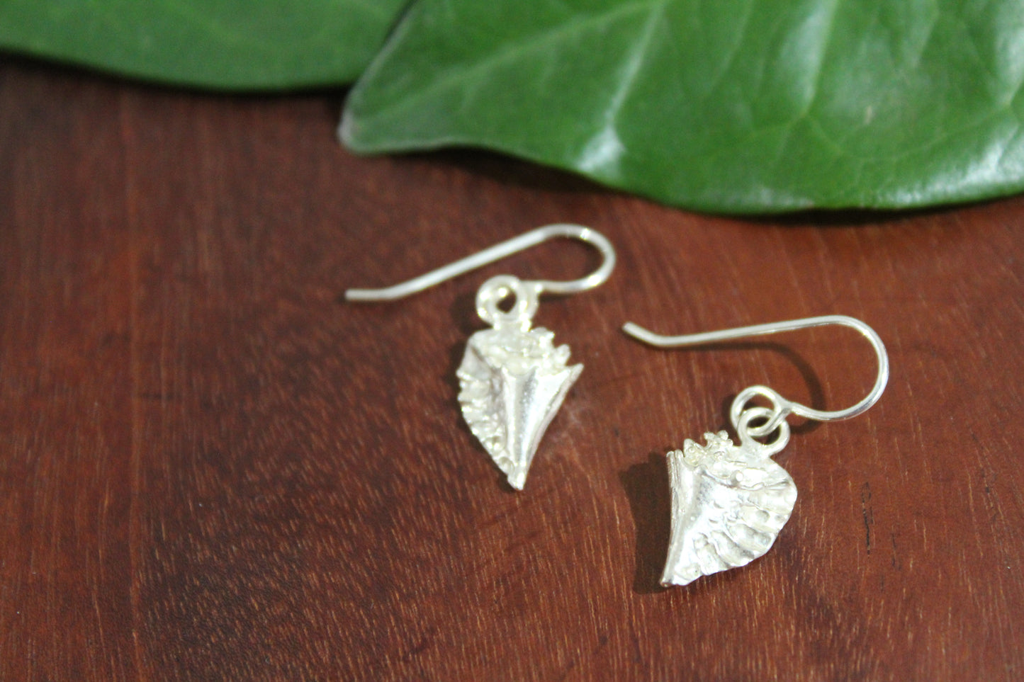 Conch Shell Earrings
