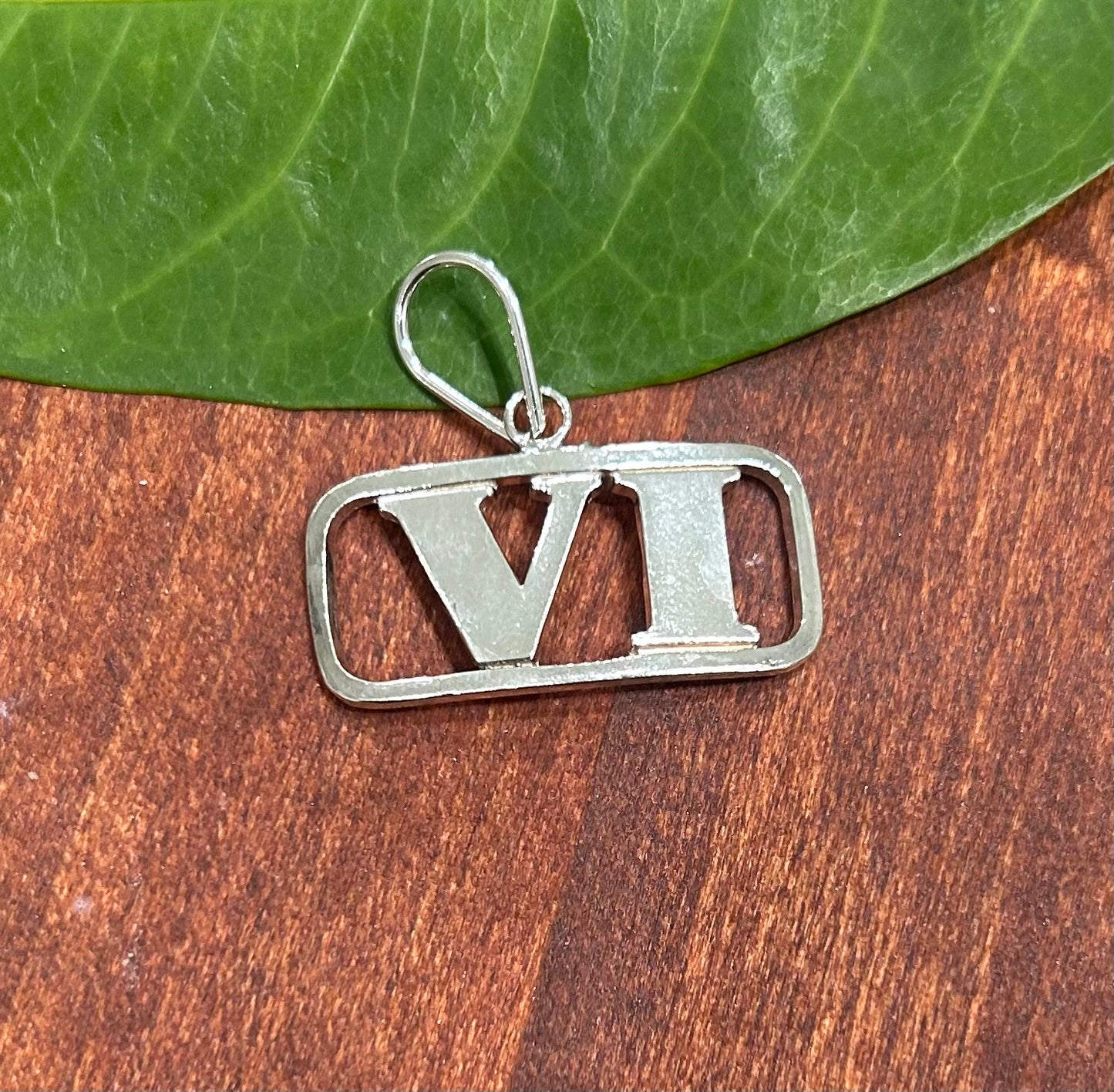 VI Pendant