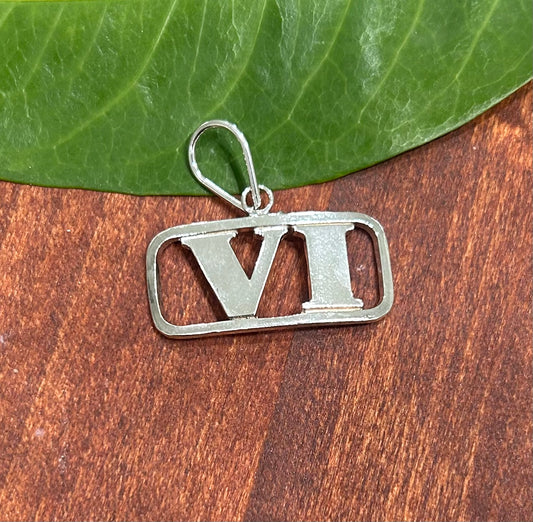 VI Pendant
