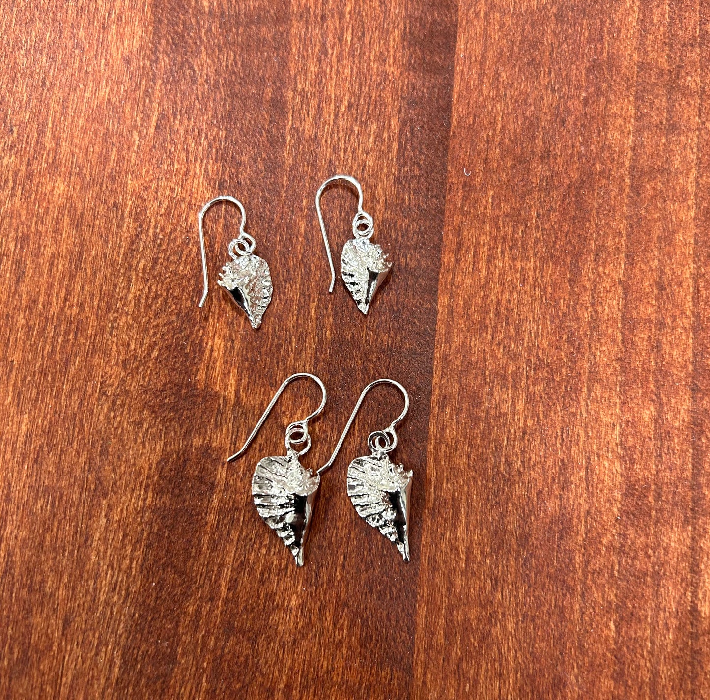 Conch Shell Earrings