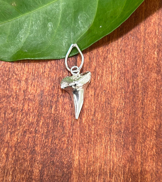 Shark Tooth Pendant