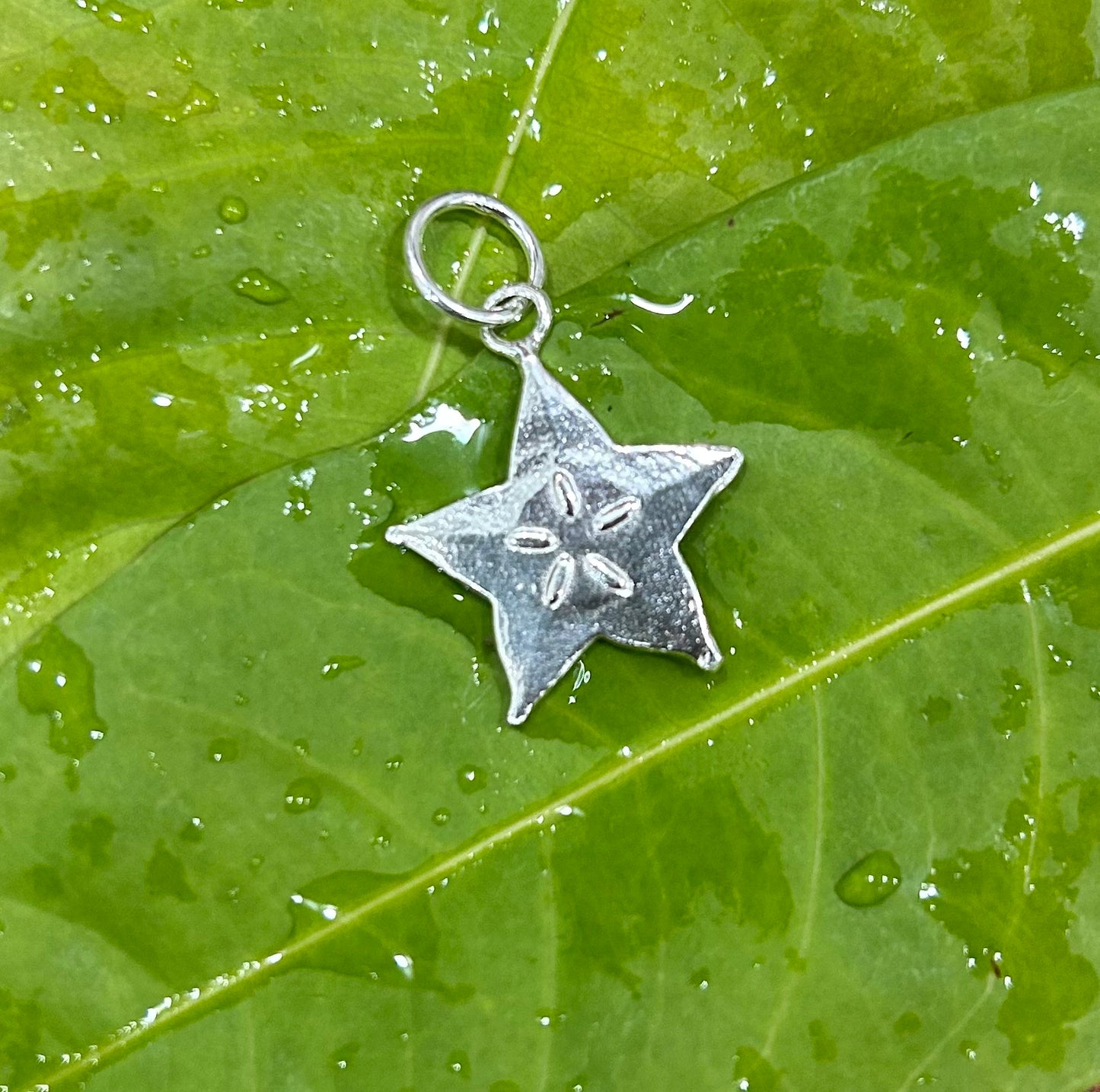 Carambola Charm