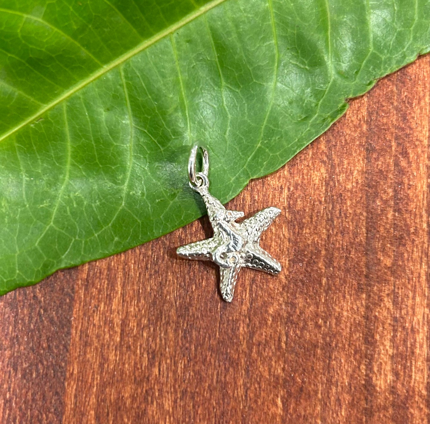 Starfish Pendant/Charm