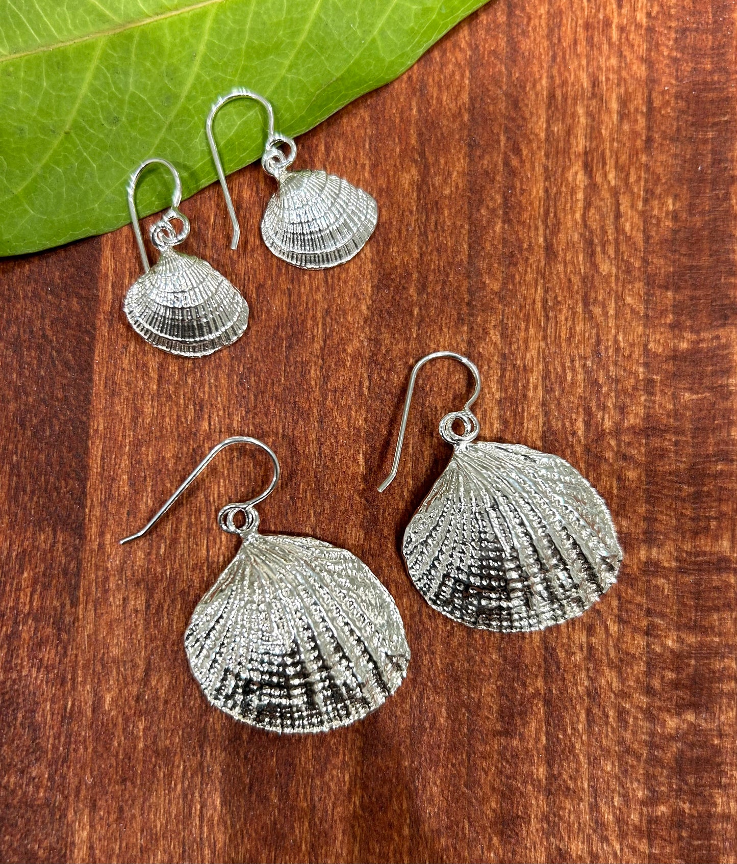 Sea Shell Earrings