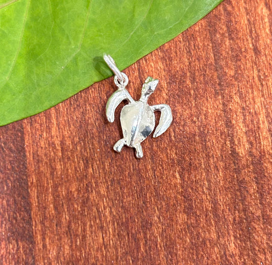 Turtle Charm