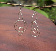 Load image into Gallery viewer, Multi-Circle Earrings
