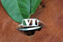 Load image into Gallery viewer, VI Bracelet
