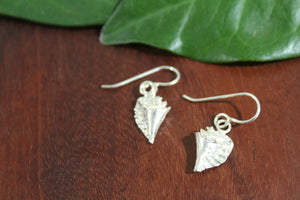 Conch Shell Earrings