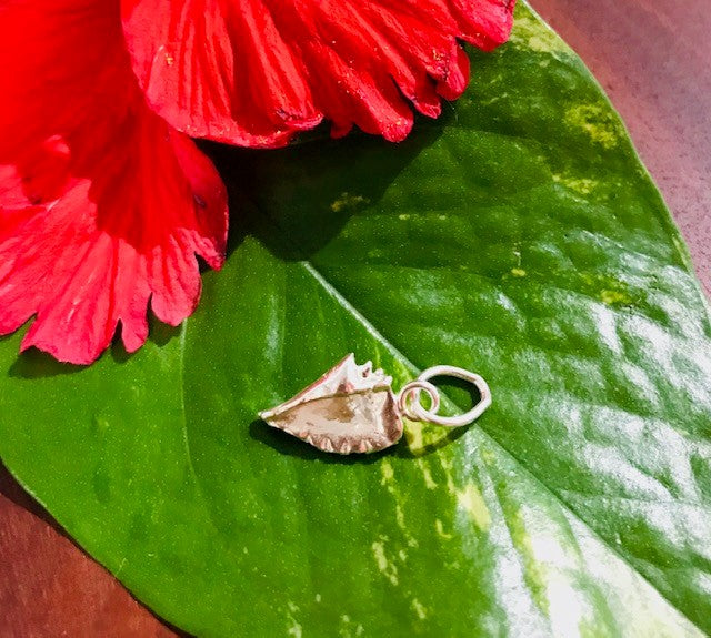 Conch Shell Charm