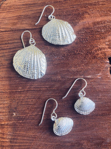 Sea Shell Earrings