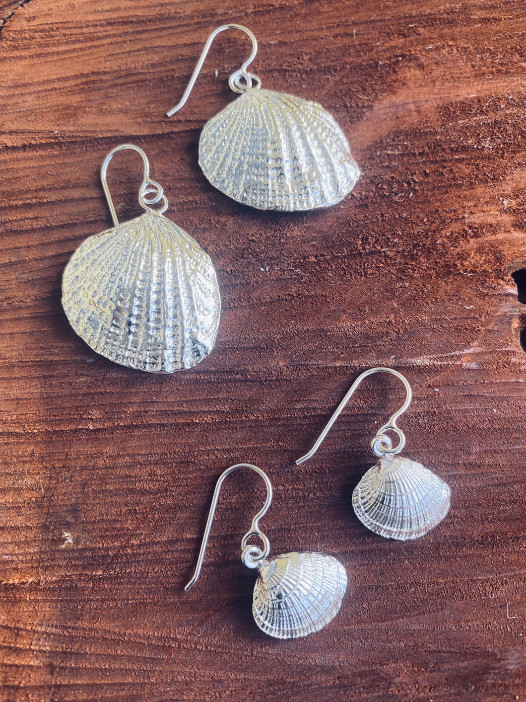 Sea Shell Earrings